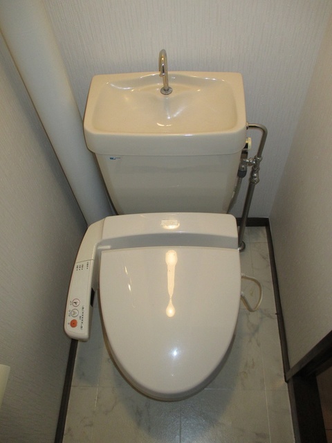 サンハイツ森山 / 303号室 トイレ