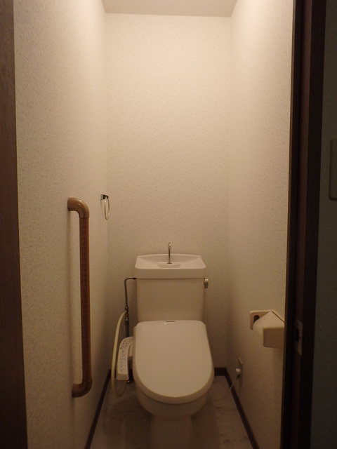 メロディハイツ乙金 / 106号室 トイレ