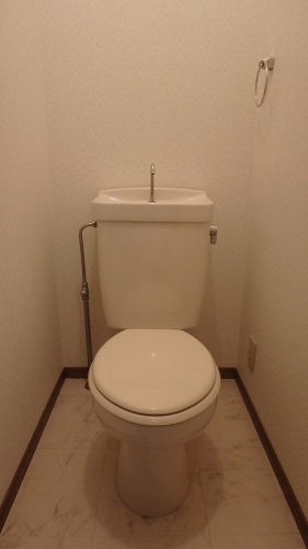 メロディハイツ乙金 / 201号室 トイレ