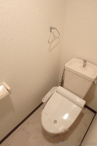 ジュネス東大利 / 405号室 トイレ