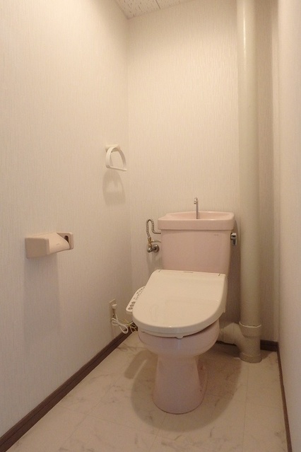 Ｃｉｔｙハイツ山田 / 202号室 トイレ