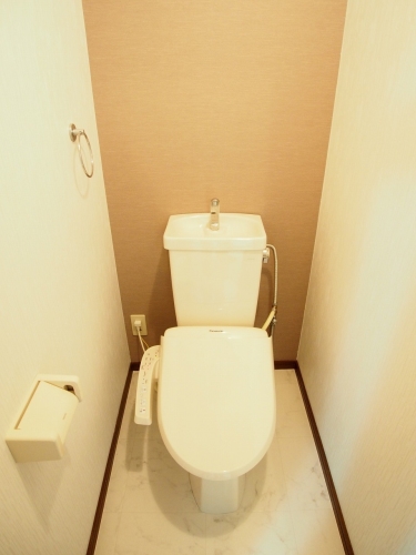 レスピーザⅡ / 207号室 トイレ