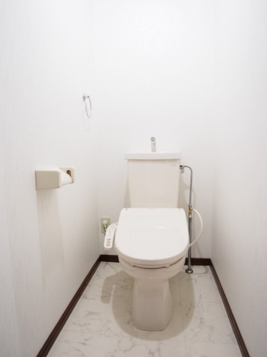 レスピーザⅡ / 606号室 トイレ