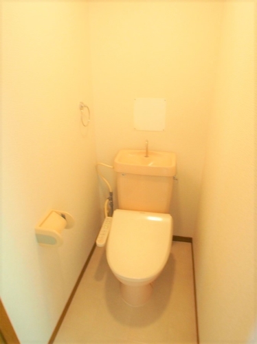 ルミエール東大利 / 403号室 トイレ
