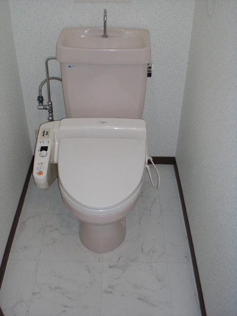 クレセント下大利 / 403号室 トイレ