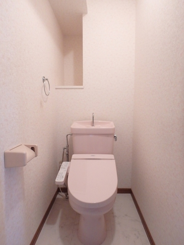 グレースマンション大野城 / 602号室 トイレ