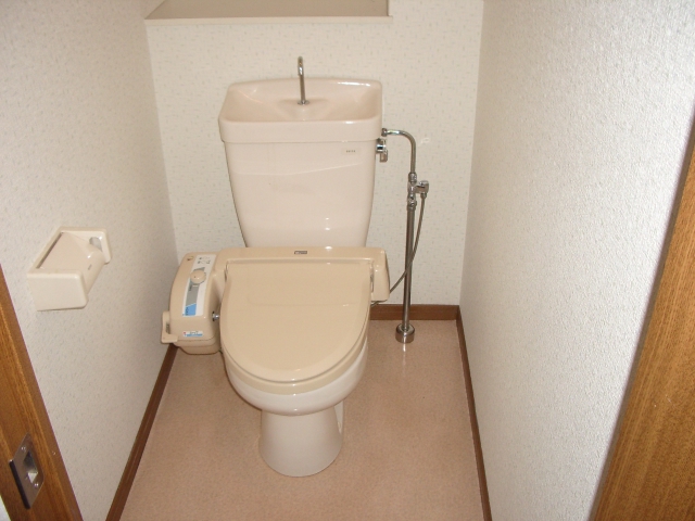 フェニックス大野城 / 501号室 トイレ