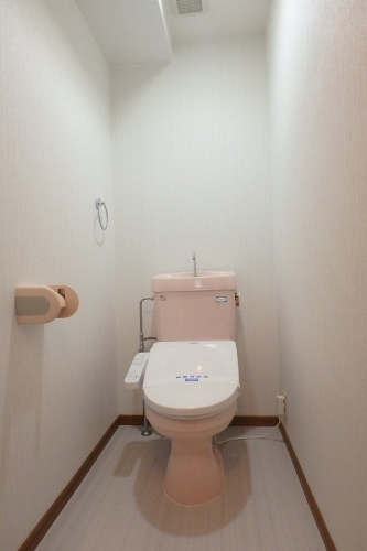 マーメゾン / 201号室 トイレ