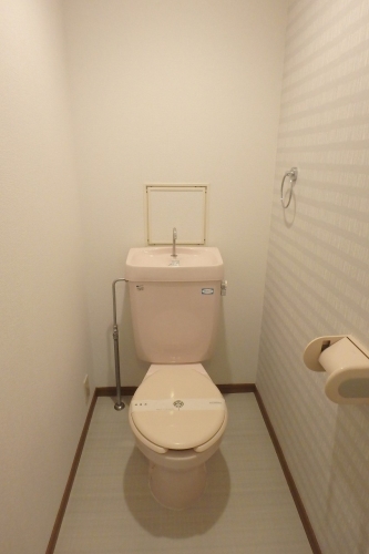 マーメゾン / 302号室 トイレ