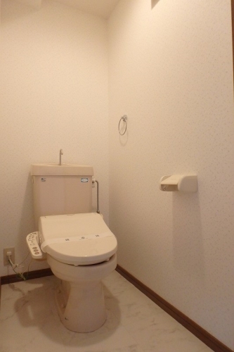 フレア・クレスト水城 / 505号室 トイレ