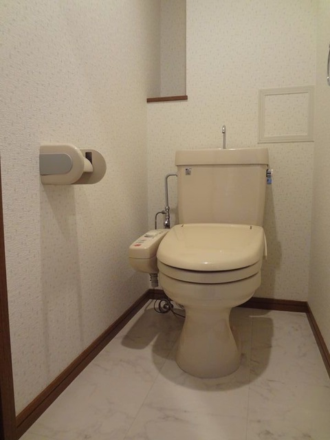 グランドアビタシオン村上 / 501号室 トイレ