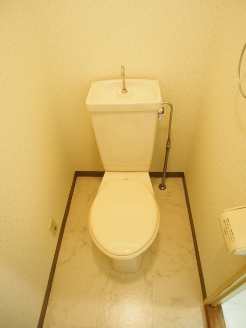 レスピーザ５３ / 101号室 トイレ