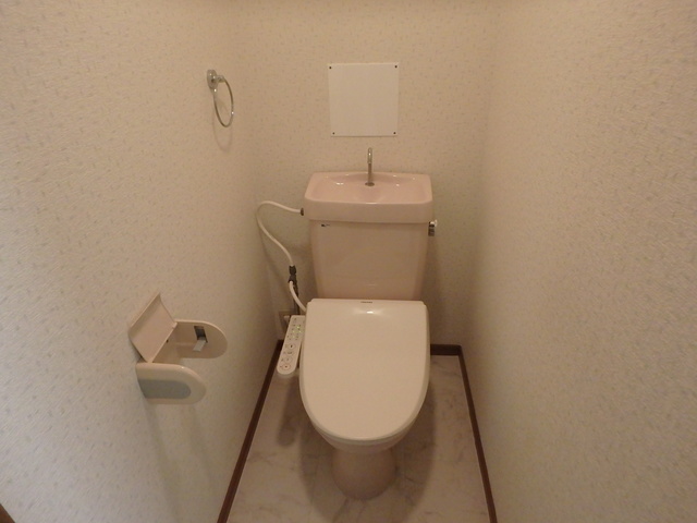 ルミエール東大利 / 103号室 トイレ