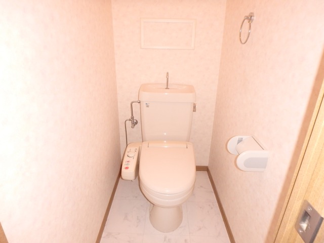 グランピア若草 / 301号室 トイレ