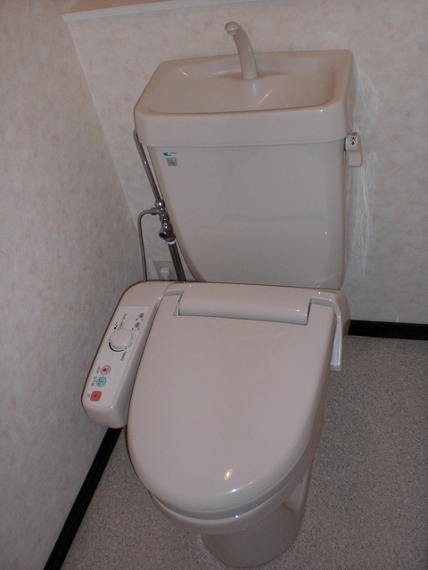 クレールマノワール / 205号室 トイレ