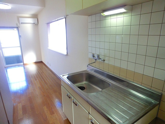 グルニエS・T / 207号室 キッチン