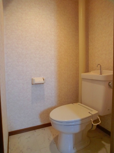 ジュネス井尻駅前 / 307号室 トイレ