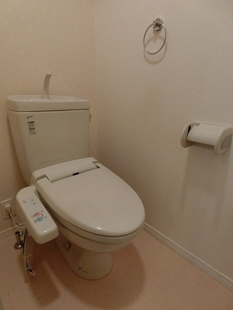 グランドゥール清水 / 401号室 トイレ