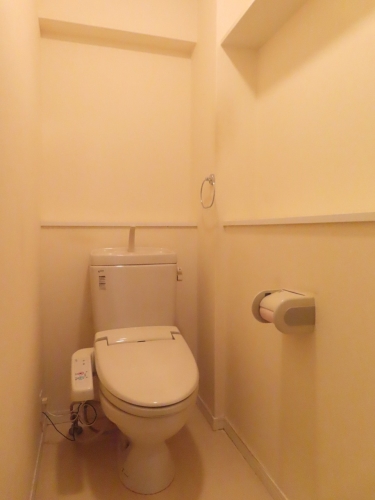 Ｂｏｎｈｅｕｒ Ｃａｓａ / 501号室 トイレ