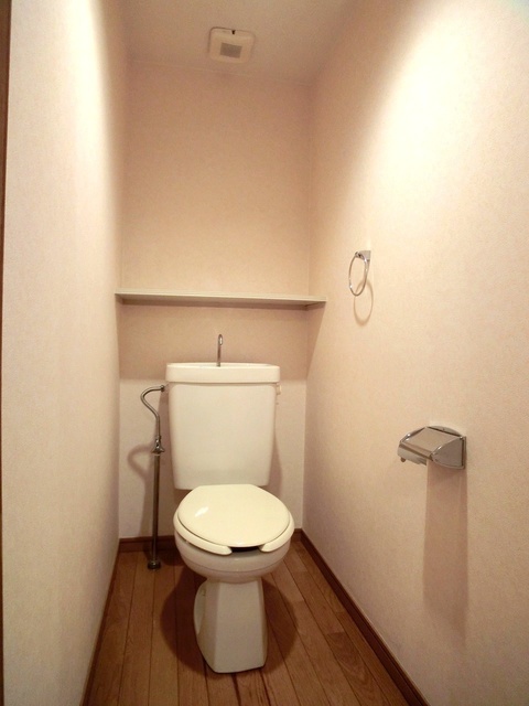 サンコート野多目 / 201号室 トイレ
