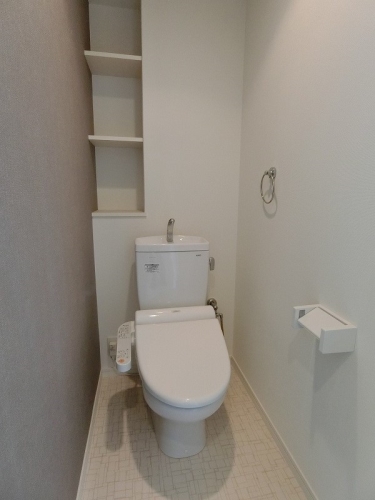 プレミールＭ / 501号室 トイレ