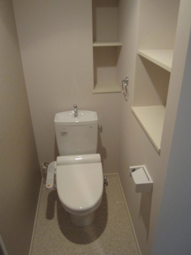 ハルコート大橋 / 501号室 トイレ