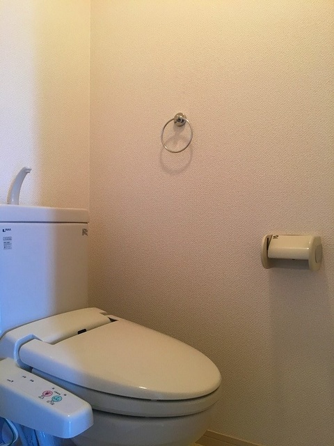 ラヴィ　ヌーヴォ / 606号室 トイレ