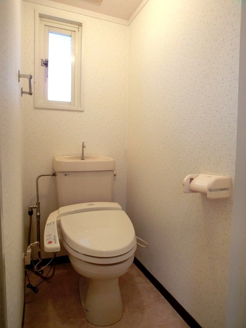 フローレスマンション / 102号室 トイレ