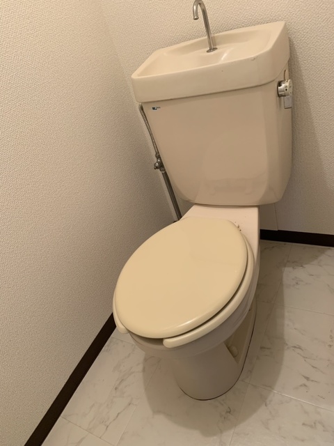 フローレスマンション / 303号室 トイレ