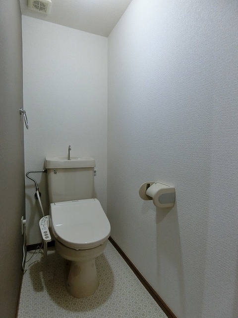 リトルマーメイド / 201号室 トイレ