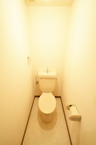 リトルマーメイド / 202号室 トイレ