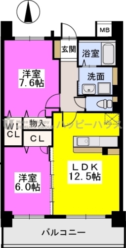 ブランコート筑紫野 / 203号室 間取り