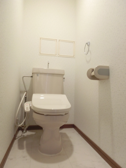 シャトレ参番館 / 102号室 トイレ