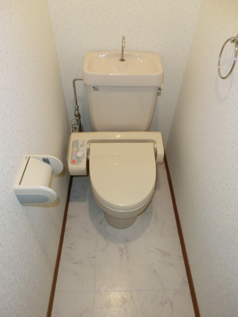 シャトレ弐番館 / 302号室 トイレ