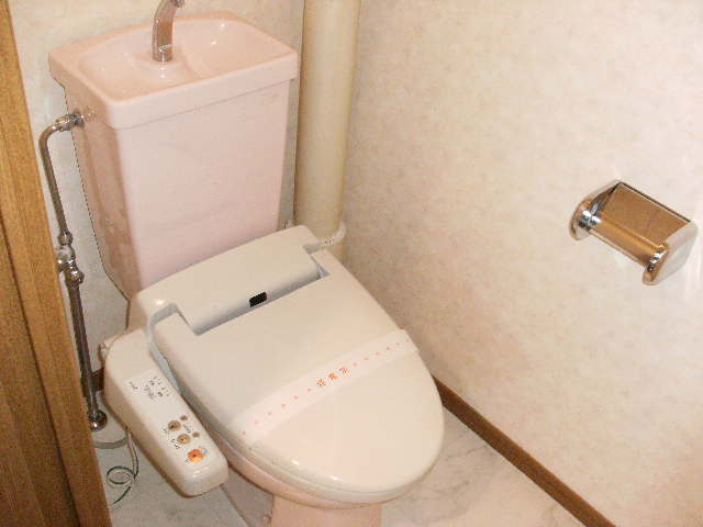 パストラル杉塚 / 403号室 トイレ