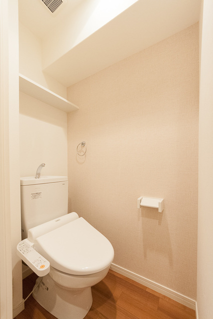 メゾンド　オハナ / 601号室 トイレ