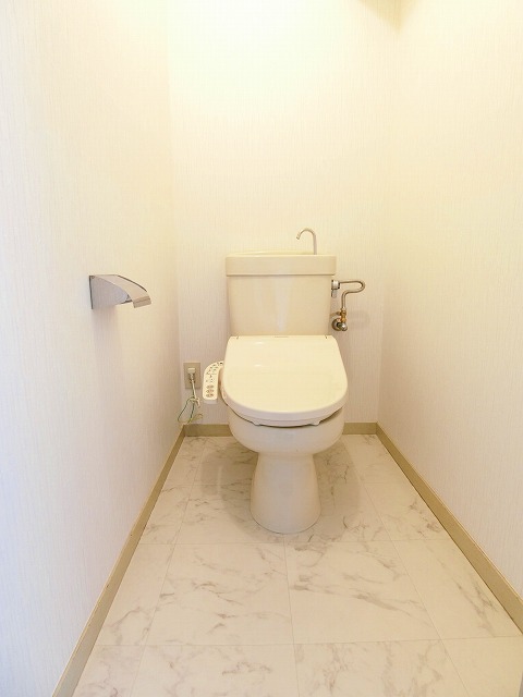 青柳２１ / 306号室 トイレ