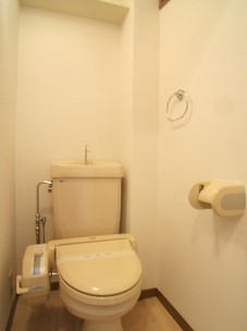 ハインズ浄水 / 207号室 トイレ