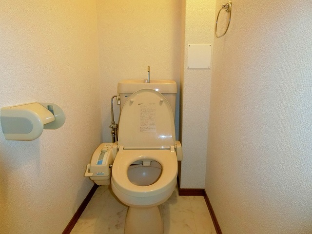 ハインズ浄水 / 302号室 トイレ