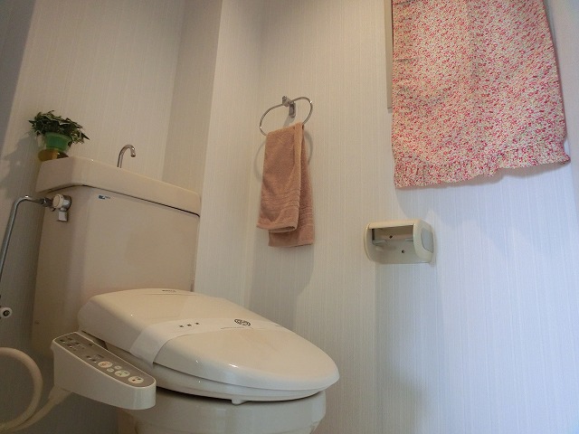 ドミール平尾 / 302号室 トイレ