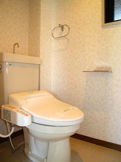ドミール平尾 / 702号室 トイレ