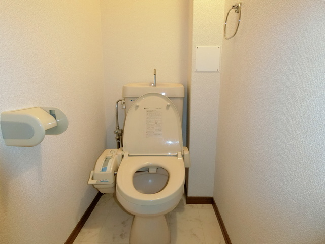 ハインズ浄水 / 201号室 トイレ