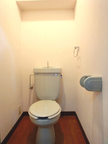 ラフィーネ博多 / 305号室 トイレ