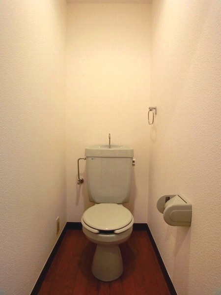 ラフィーネ博多 / 504号室 トイレ