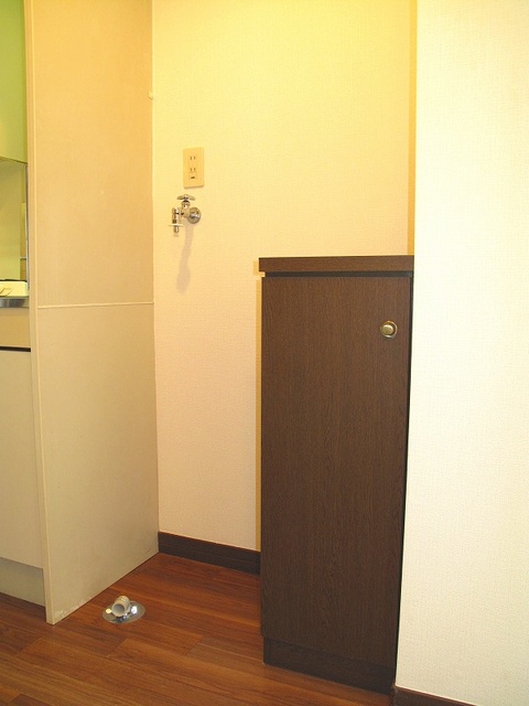 ラフィーネ博多 / 704号室 トイレ