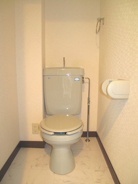 ラフィーネ博多 / 602号室 トイレ